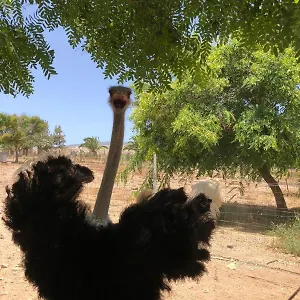 Finca Avestruz Vakantieboerderij